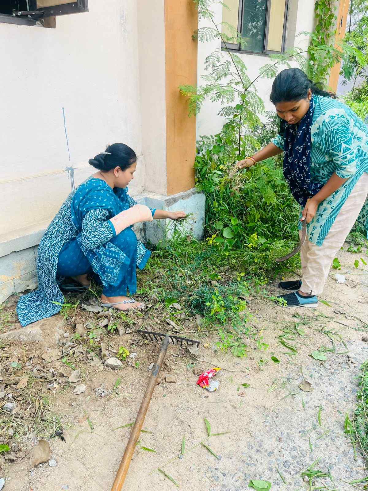 Cleaning Activity New Talim 5